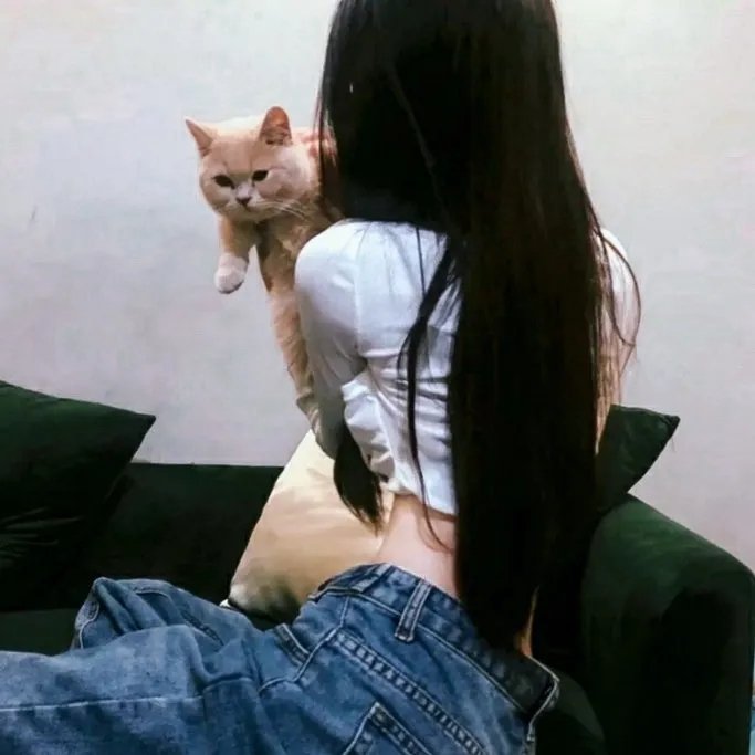 红袍与黑幕